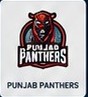 Punjab Panthers crest